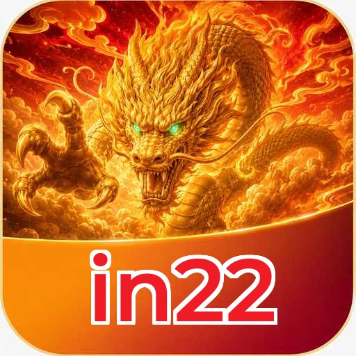 in22 Technical Info